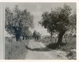 Rosenberg Kr. Heiligenbeil, Kreis Heiligenbeil Rosenberg Kr. Heiligenbeil, Mühlenweg Розенберг, уезд Хайлигенбайль, Мюленвег