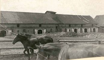 Margen Kr. Elchniederung, Gut, Kreis Elchniederung 