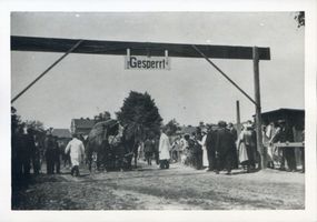 Wehlau, Kreis Wehlau Wehlau, Pferdemarkt, Kontrolle beim Eingang durch Tierärzte Велау, конный рынок, проверка на входе ветеринарами