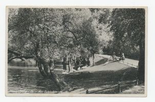 Königsberg (Pr.), Stadtkreis Königsberg Königsberg, Schwäne am Schloßteich Königsberg, Schloßteich