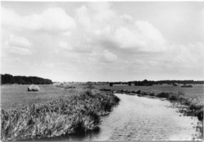 Inse, Ort, Kreis Elchniederung 