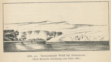 Schwarzort, Kreis Memel Schwarzort, Versandender Wald, Zeichnung Шварцорт, лес, заносимый песком, рисунок