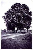 Waldau Kr. Samland, Ort, Kreis Samland 