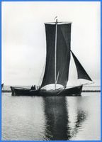 Fischhausen, Stadt, Kreis Samland Fischhausen, Fischerboot im Hafen 