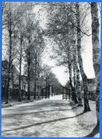 Königsberg (Pr.), Stadtkreis Königsberg Königsberg (Pr.), An den Zwillingsteichen 