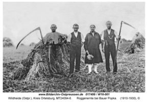 Wildheide (Ostpr.), Kreis Ortelsburg 