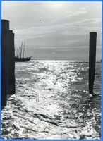Cranz Kr. Samland, Ort, Kreis Samland Cranz Kr. Samland, Pfähle im Wasser II 