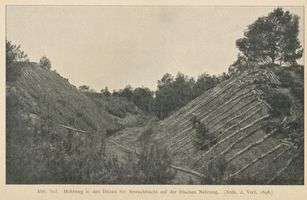 Strauchbucht, Kreis Samland Strauchbucht, Hohlweg in den Dünen bei Strauchbucht 