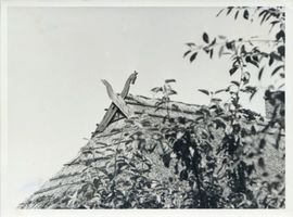 Jorksdorf, Kreis Labiau Yorksdorf, Pferdeköpfe als Giebelzier II 
