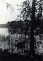  Johannisburg, Prosolasseksee, Uferblick Johannisburg (Kreis), nicht verortete Bildmotive