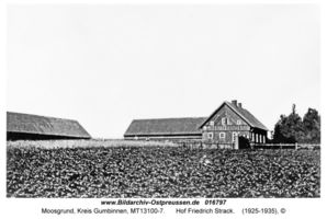 Moosgrund, Kreis Gumbinnen 