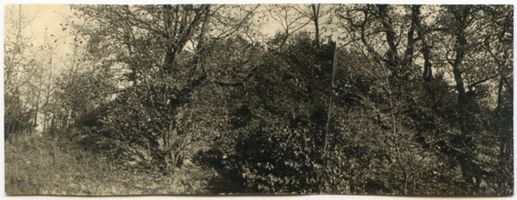 Kattenau, Kreis Ebenrode Kattenau, Burgwall 