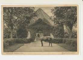 Groß Trakehnen, Kreis Ebenrode 