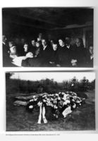 Karlsrode Kr. Labiau, Kreis Labiau 