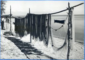  Frisches Haff, Trocknende Netze am Fischhausener Wiek II Фришес-Хафф, сохнущие сети у бухты Фишхаузен, II