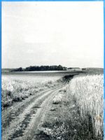 Dommelhof, Kreis Sensburg Dommelhof, Landschaftsbild 