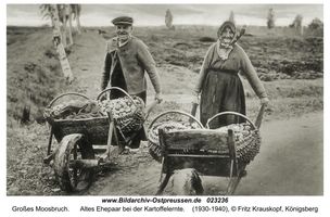  Sammlung von Bildern hoher fotografisch-künstlerischer Qualität
