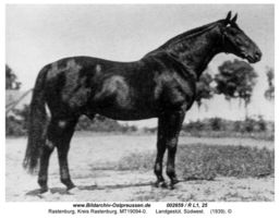 Rastenburg, Stadt, Kreis Rastenburg Sembeckstraße