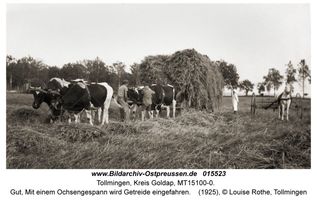 Tollmingen, Kreis Goldap  