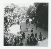 Tilsit, Stadt, Stadtkreis Tilsit Clausiusstraße Tilsit, Kolonialtagung am 22.05.1932, Ziegengespann, Blick in die Clausiusstraße Тильзит, колониальное собрание 22.05.1932, упряжка коз, вид на Клаузиусштрассе