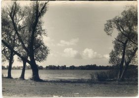 Lyck, Stadt, Kreis Lyck Lyck, Lycksee von der Rennbahn aus gesehen Masurische Seen