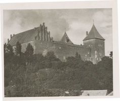 Neidenburg, Stadt, Kreis Neidenburg Neidenburg, Schloß VII Neidenburg, Schloß