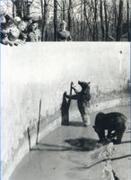 Königsberg (Pr.), Stadtkreis Königsberg Königsberg (Pr.), Tiergarten, Bären III Кёнигсберг (Пр.), зоопарк, медведи, III