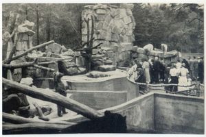 Königsberg (Pr.), Stadtkreis Königsberg Königsberg (Pr.), Tiergarten, Bären II Кёнигсберг (Пр.), зоопарк, медведи, II