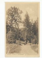 Lötzen, Stadt, Kreis Lötzen 