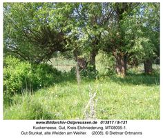 Kuckerneese, Gut, Kreis Elchniederung 