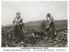 Baumgarten Kr. Rastenburg, Kreis Rastenburg 