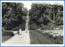 Insterburg, Stadt, Stadtkreis Insterburg Insterburg, Partie im Stadtpark, Schützentaltreppe III Insterburg, Stadtpark