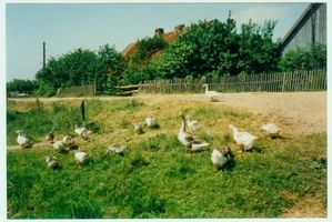 Karkeln, Kreis Elchniederung 