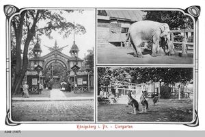 Königsberg (Pr.), Stadtkreis Königsberg 
