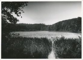  Masuren, Großer Silbersee Masurische Seen