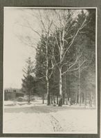 Baubeln Kr. Tilsit-Ragnit, Kreis Tilsit-Ragnit Baubeln Kr. Tilsit-Ragnit, Landschaft in der Nähe des Haltepunktes Baubeln II Баубельн, р-н Тильзит-Рагнит, ландшафт вблизи остановочного пункта Баубельн, II