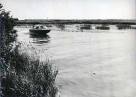  Rominter Heide, Wystiter See 1995 II 