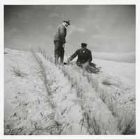  Kurische Nehrung, Dünenbefestigung Kurische Nehrung, Dünen