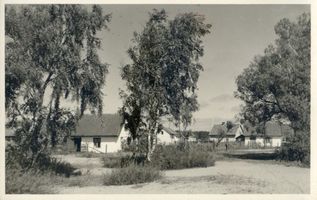Nidden, Kreis Memel Nidden, Ortsansicht, XVI 