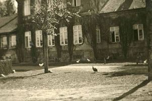 Margen Kr. Elchniederung, Gut, Kreis Elchniederung 