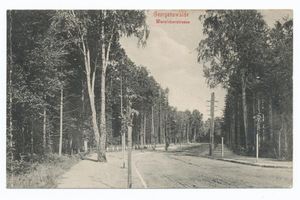 Georgenswalde, Kreis Samland Georgenswalde, Straße nach Warnicken Георгенсвальде, дорога на Варникен