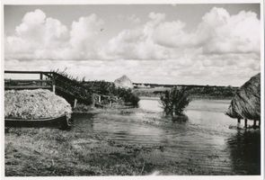  Tilsiter Niederung, Hochwasser 