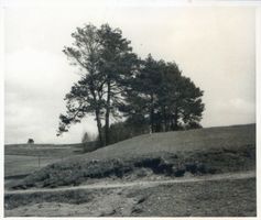 Kruttinnen, Kreis Sensburg Kruttinnen, Feld bei Kruttinnen 