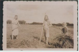 Kauken, Kreis Gerdauen 