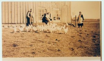 Gowarten, Kreis Elchniederung 