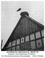 Dublienen, Kreis Rastenburg 