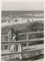 Rauschen Kr. Samland, Kreis Samland Rauschen Kr. Samland, Strandpromenade XXIV Rauschen, Strand