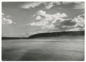 Rauschen Kr. Samland, Kreis Samland Rauschen Kr. Samland, Winter im Wald bei Rauschen III 