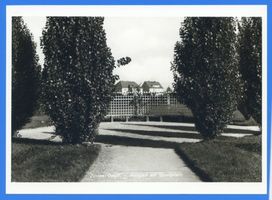 Zinten, Kreis Heiligenbeil Zinten, Anlagen am Sportplatz 