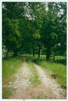 Schneiderin Kr. Gerdauen, Kreis Gerdauen 